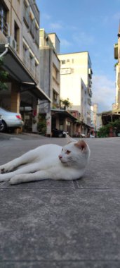 Toucheng Old Street, Yilan - 27 Kasım 2022 Toucheng Old Street, Yilan, Tayvan