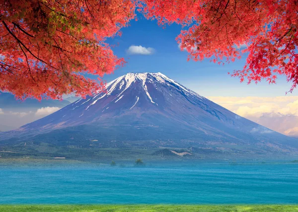 Rendering Van Mooi Uitzicht Met Prachtige Fuji Mountaion — Stockfoto