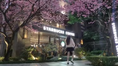 linkou, Taiwan - Feb 1, 2023 : Starbucks in linko, New Taipei City, Taiwan during springtime with full bloom sakura tree.