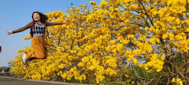 Dalin Chenjingliao, Chiayi - 10 Mart 2023: Suzuki chinensis her yerde çiçek açmış, Chiayi, Tayvan