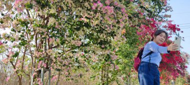Bougainvillea Çiçek Duvarı, Changhua - 10 Mart 2023: Bougainvillea Çiçek Duvarı, Changhua, Tayvan
