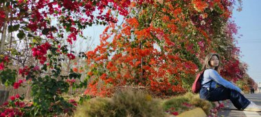 Bougainvillea Çiçek Duvarı, Changhua - 10 Mart 2023: Bougainvillea Çiçek Duvarı, Changhua, Tayvan