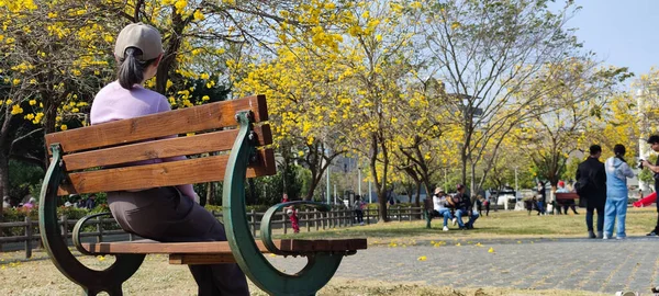 stock image Beitun Xizi Park, Taichung - March 9, 2023 : Beside Xizi Park in Dakeng, Taichung, Suzuki chinensis are in full bloom