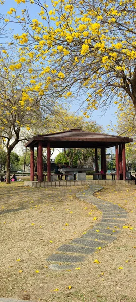 Taman Beitun Xizi Taichung Maret 2023 Samping Taman Xizi Dakeng — Stok Foto