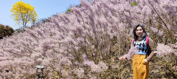 南头中辽山麝香 2023年3月10日 台湾南头中辽市美丽的粉色山麝香 — 图库照片