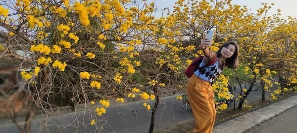 Dalin Chenjingliao Chiayi Março 2023 Suzuki Chinensis Está Plena Floração — Fotografia de Stock
