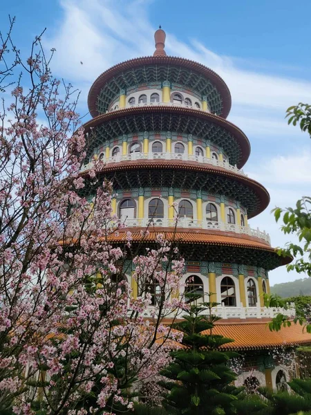Ogród Beautiflu Sakura Ładnym Niebem Tajpej Tajwan Wielorakie Wartości — Zdjęcie stockowe
