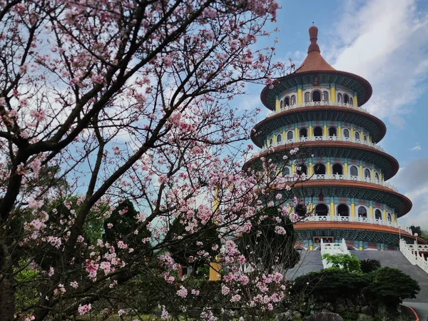 Jardin Sakura Beautiflu Avec Beau Ciel Taipei Taiwan Valeurs Multiples — Photo