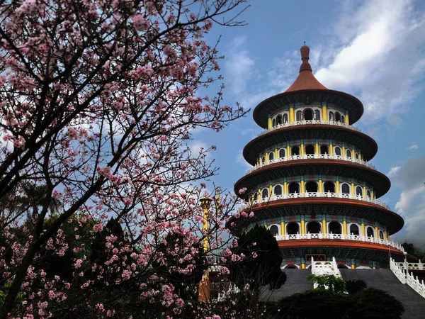 Bellissimo Giardino Sakura Influenzale Con Bel Cielo Taipei Taiwan Valori — Foto Stock