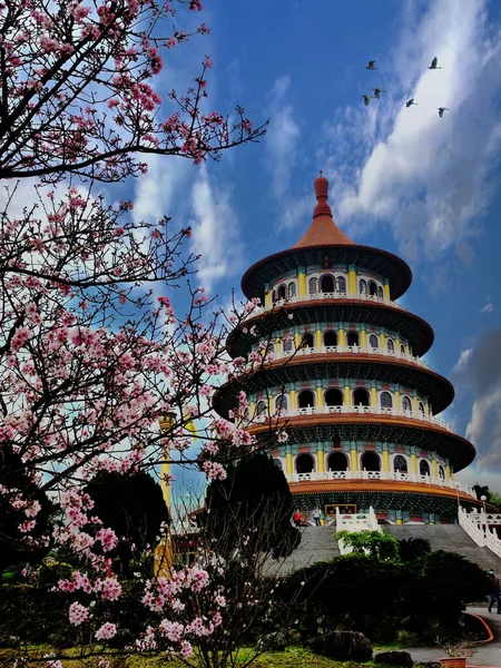 Jardim Sakura Beautiflu Com Céu Agradável Taipei Taiwan Valores Múltiplos — Fotografia de Stock