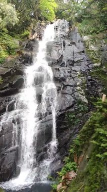 Qingshan Şelalesi her bahar, New Taipei, Tayvan