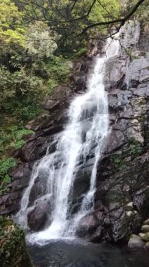 Qingshan Şelalesi her bahar, New Taipei, Tayvan