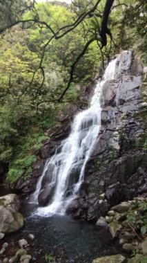 Qingshan Şelalesi her bahar, New Taipei, Tayvan