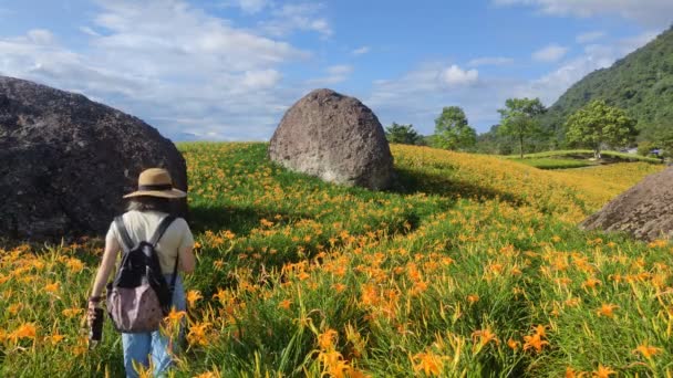 Widok Krajobrazu Pięknych Lilii Tygrysich Daylily Ogród Kwitnący Wzgórzu Chi — Wideo stockowe