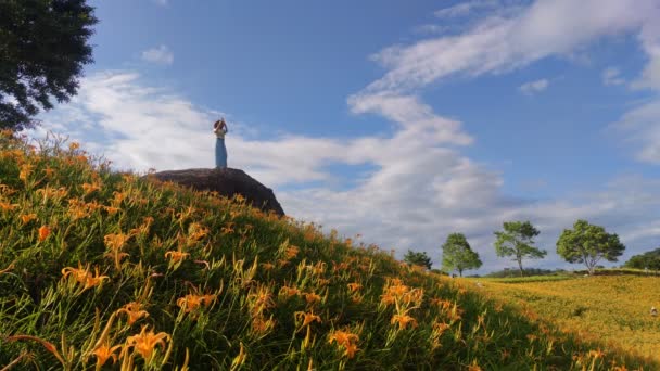 Het Landschapsbeeld Van Mooie Tijgerlelies Daglelie Tuin Bloeiend Heuvel Van — Stockvideo