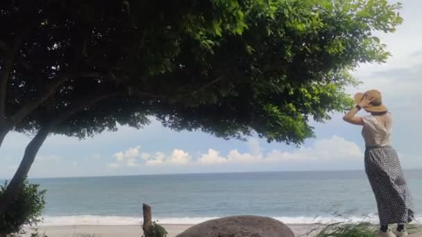 Huayuan Bay Recreation Area Bella Spiaggia Sabbia Situata Taitung Taiwan — Video Stock