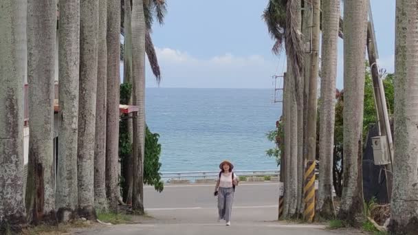 Vista Paisagem Litoral Oriental Bonito Avenida Coco Frente Escola Elementar — Vídeo de Stock
