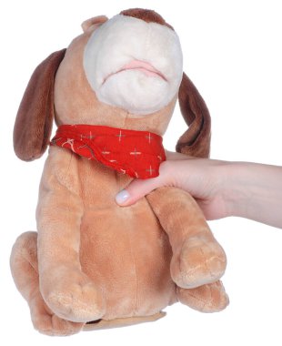 Beyaz arka plan izolasyonunda yumuşak oyuncak köpek