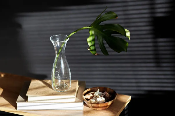 Interior Home Decor Concept Monstera Leaf Glass Vase Books Seashells — Fotografia de Stock