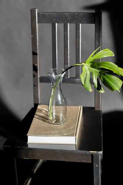 Interior Home Decor Concept Monstera Leaf Glass Vase Book Vintage — Fotografia de Stock