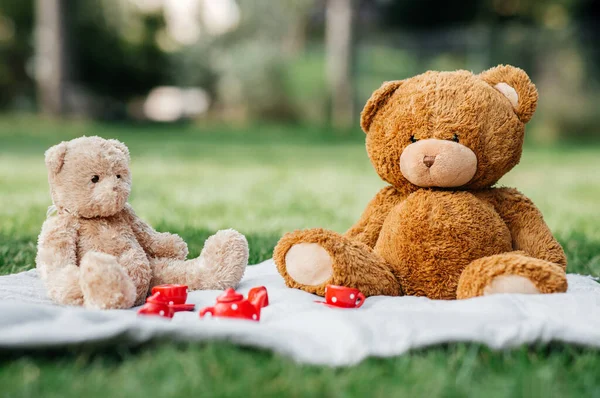 아동기와 공원에서 장난감 장난감 — 스톡 사진
