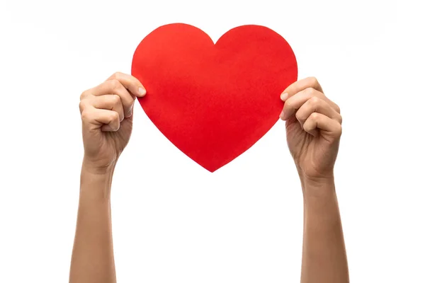Charity Liebe Und Gesundheitskonzept Nahaufnahme Einer Hand Die Ein Rotes — Stockfoto