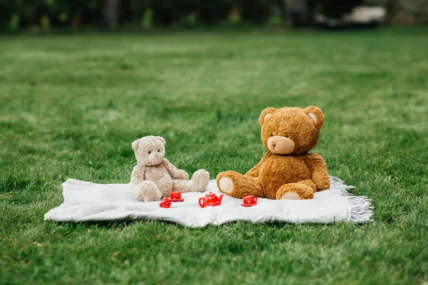 童年和玩耍的概念 在公园的毛毯上关闭玩具熊和玩具陶器 — 图库照片