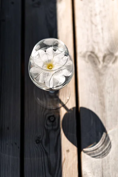 Objecten Zomer Drankconcept Close Van Glas Water Met Bloem Houten — Stockfoto