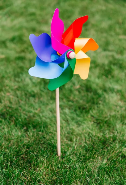 Ecologie Milieu Duurzame Energie Concept Close Van Veelkleurige Pinwheel Vast — Stockfoto