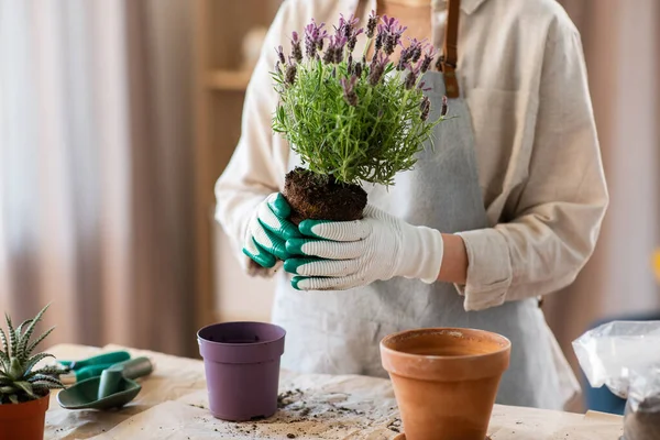 People Gardening Housework Concept Close Woman Gloves Planting Pot Flowers — Foto de Stock