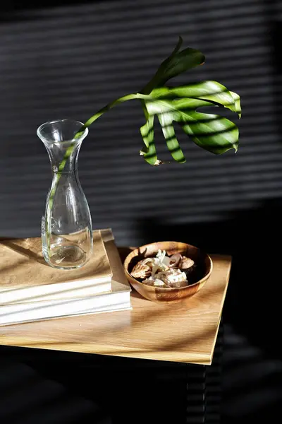 Interior Home Decor Concept Monstera Leaf Glass Vase Books Seashells — Foto de Stock