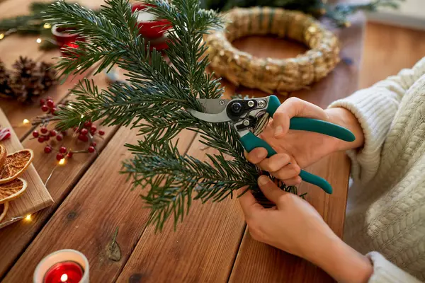 Winter Holidays Diy Hobby Concept Close Woman Fir Branches Pruner — Stock Photo, Image
