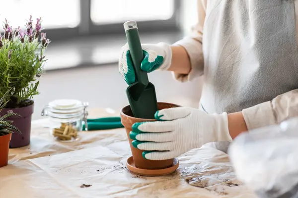 People Gardening Planting Concept Close Woman Gloves Trowel Pouring Soil Telifsiz Stok Fotoğraflar
