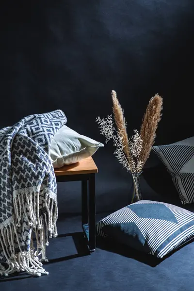 Interior Home Decor Concept Pillows Blanket Bench Dry Plants Vase — 图库照片