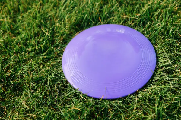 장난감 스포츠 풀밭에서 의날아다니는 디스크의 — 스톡 사진