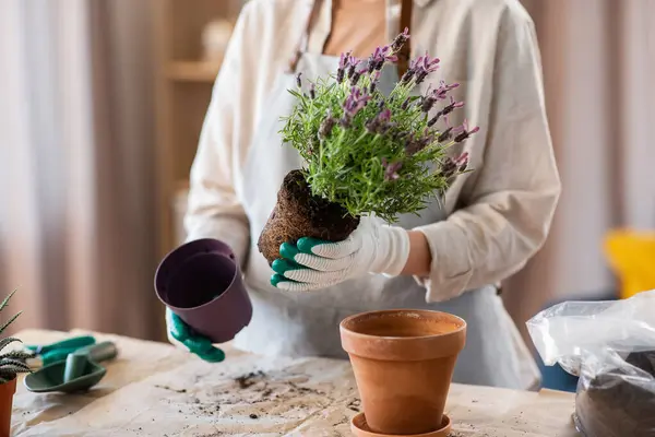 People Gardening Housework Concept Close Woman Gloves Planting Pot Flowers Royaltyfria Stockfoton