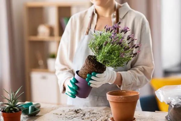 Lidé Zahradničení Domácí Práce Koncept Zblízka Žena Rukavicích Výsadba Květináčů — Stock fotografie