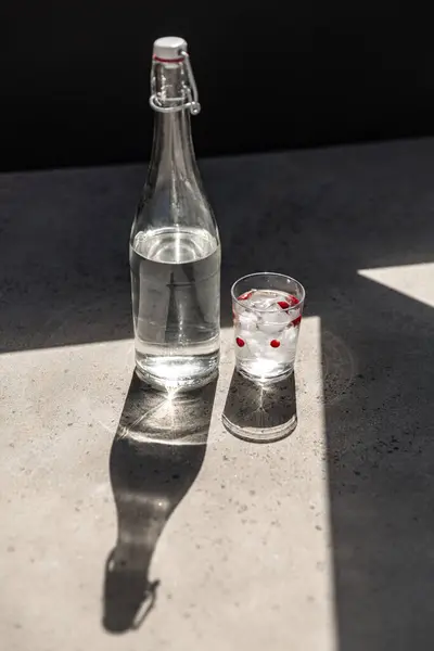 Концепція Предметів Напоїв Пляшка Води Скла Льодом Журавлиною Сонячній Підлозі Стокове Фото