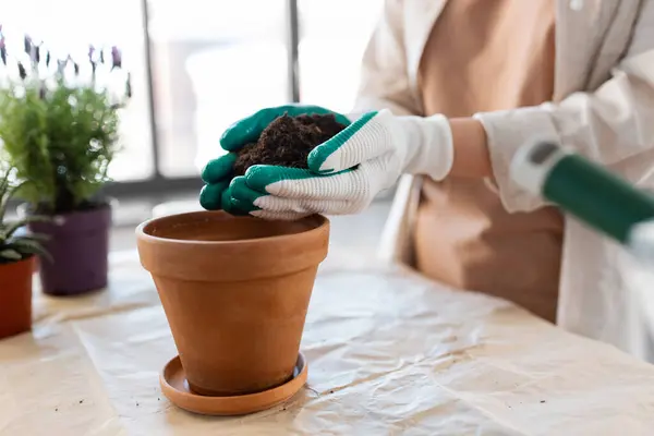 People Gardening Housework Concept Close Woman Gloves Pouring Soil Flower Telifsiz Stok Imajlar