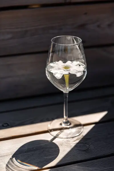 夏季及饮品概念 关闭木制长椅上盛放花卉的杯子水 图库图片