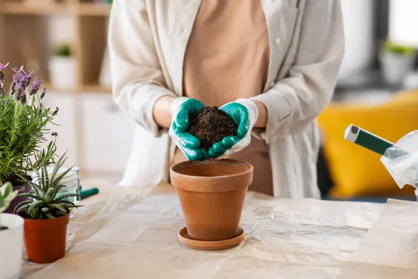 People Gardening Housework Concept Close Woman Gloves Pouring Soil Flower Stockbild