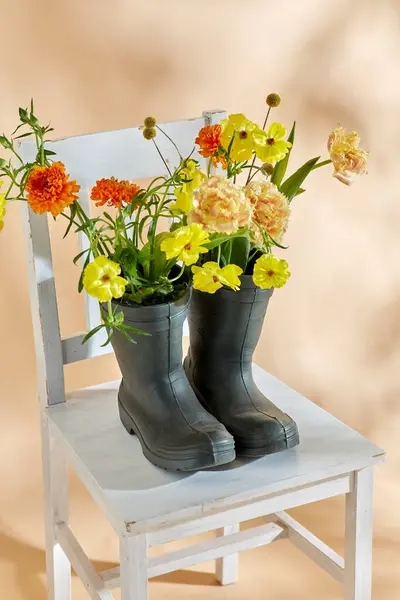 国际妇女日和花卉设计概念 米色背景的老式椅子上穿着橡胶靴的花朵 图库图片