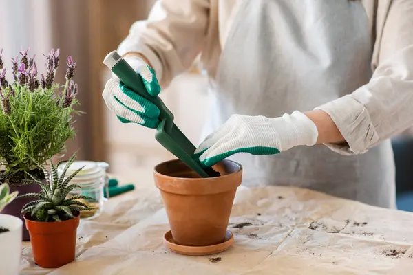 People Gardening Planting Concept Close Woman Gloves Trowel Pouring Soil Royalty Free Φωτογραφίες Αρχείου
