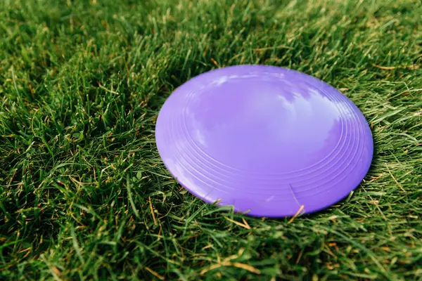 休闲游戏 玩具及体育概念 关闭草坪上的飞碟 图库图片