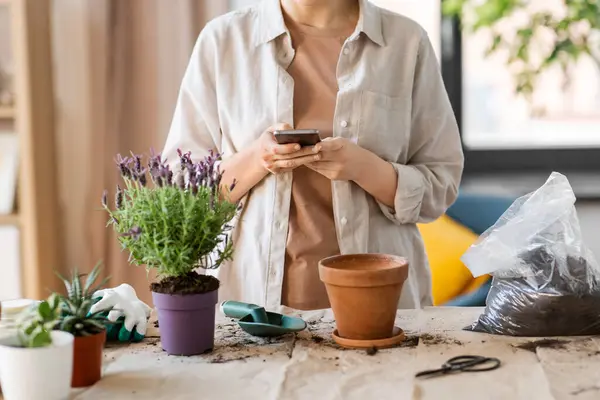 People Gardening Planting Concept Close Woman Smartphone Pot Flower Home ロイヤリティフリーのストック画像