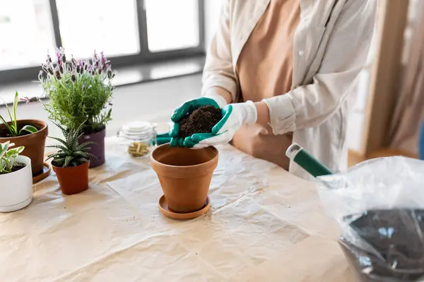 People Gardening Housework Concept Close Woman Gloves Pouring Soil Flower Royaltyfria Stockfoton