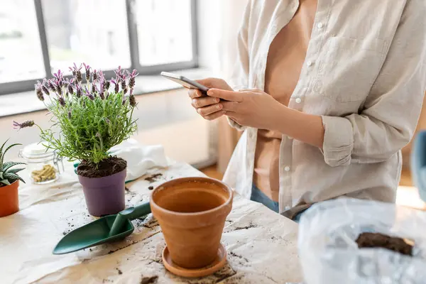 People Gardening Planting Concept Close Woman Smartphone Pot Flower Home Obrazy Stockowe bez tantiem