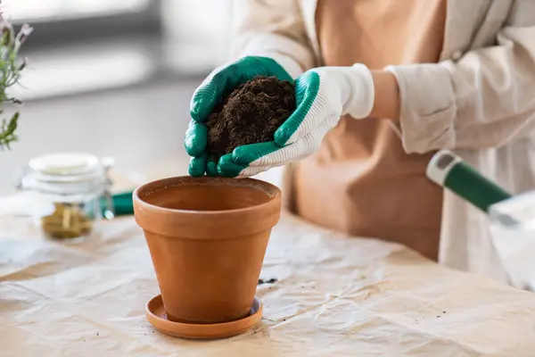 People Gardening Housework Concept Close Woman Gloves Pouring Soil Flower Rechtenvrije Stockfoto's