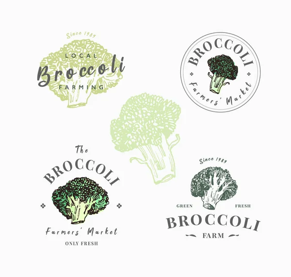 Zemědělci Trhu Šablona Loga Nastavena Ručně Kreslené Brokolicové Ilustrace Písmem — Stockový vektor