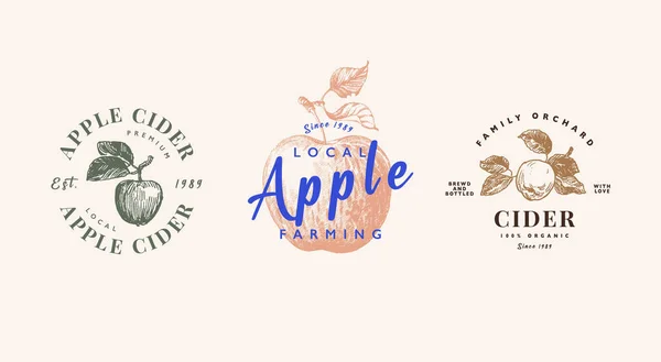 Apple Cider Logotyp Mall Set Äppeljuice Produkter Emblem Handritade Äppelfrukter — Stock vektor